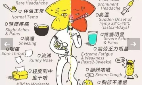 备孕期间来月经了是不是没怀上-备孕期间开了贞芪扶正颗粒网 | 服用贞芪扶正颗粒能提高免疫力吗,贞芪扶正颗粒怀孕可以吃吗