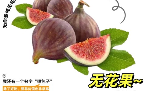 吃贞芪扶正颗粒会影响性功能吗-备孕期间开了贞芪扶正颗粒网 | 服用贞芪扶正颗粒能提高免疫力吗,贞芪扶正颗粒怀孕可以吃吗